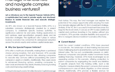 MC_Newsletter_Special Purpose Vehicle_July 2023_3